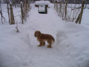 Прикачена снимка