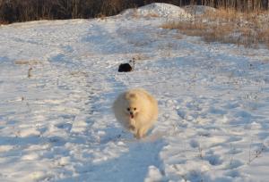 Прикачена снимка