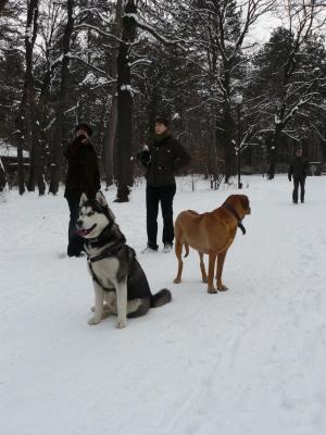 Прикачена снимка
