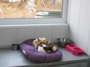 Прикачена снимка