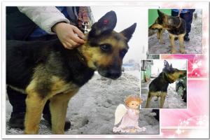 Прикачена снимка