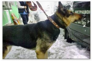 Прикачена снимка
