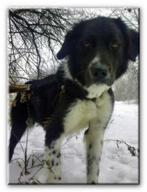 Прикачена снимка
