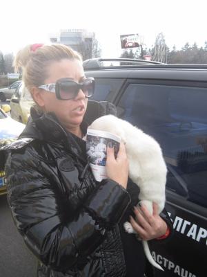 Прикачена снимка