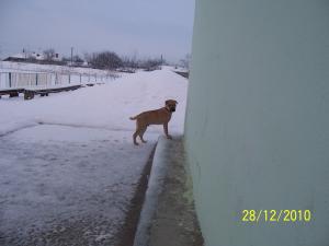 Прикачена снимка