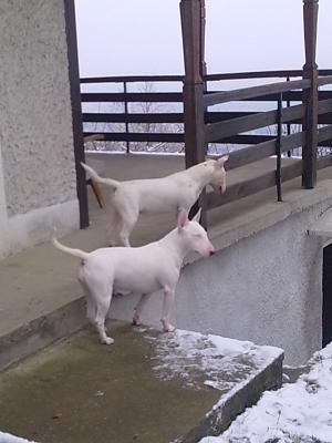 Прикачена снимка
