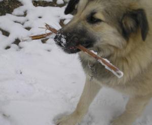 Прикачена снимка