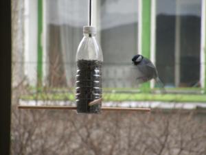 Прикачена снимка