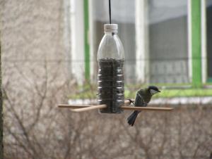 Прикачена снимка