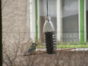 Прикачена снимка