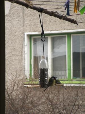 Прикачена снимка