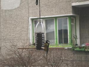 Прикачена снимка