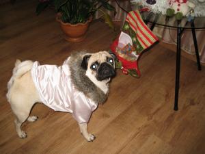 Прикачена снимка