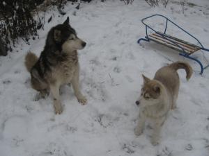 Прикачена снимка