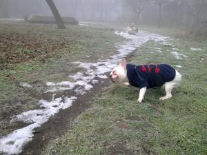 Прикачена снимка