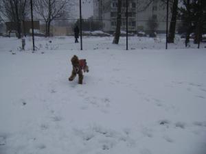 Прикачена снимка