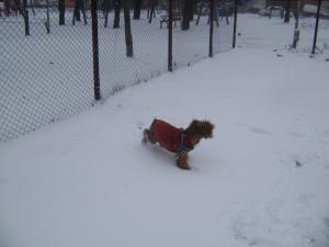 Прикачена снимка