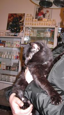 Прикачена снимка