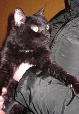 Прикачена снимка