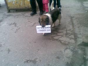 Прикачена снимка
