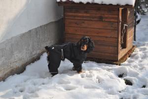 Прикачена снимка