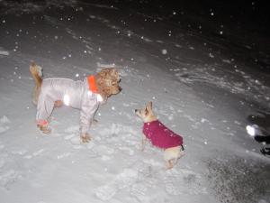 Прикачена снимка