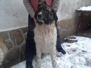 Прикачена снимка