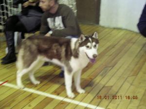Прикачена снимка