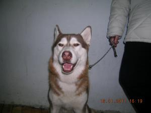 Прикачена снимка
