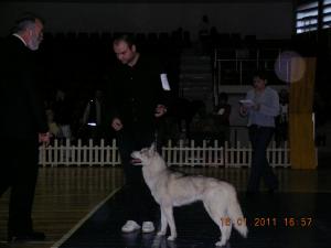 Прикачена снимка