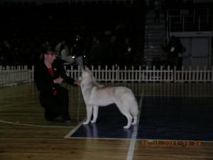 Прикачена снимка
