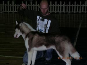 Прикачена снимка