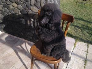 Прикачена снимка