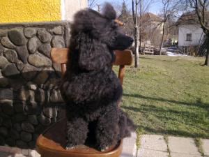 Прикачена снимка