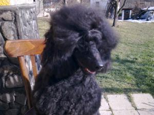 Прикачена снимка