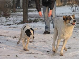Прикачена снимка