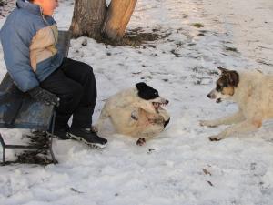 Прикачена снимка