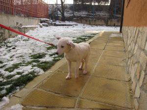 Прикачена снимка