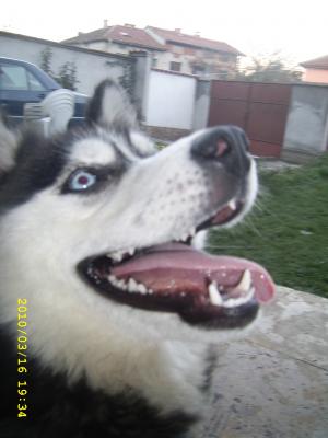 Прикачена снимка