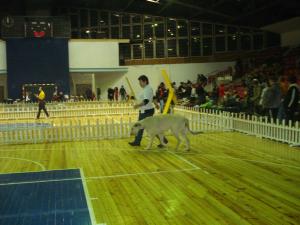 Прикачена снимка