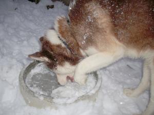 Прикачена снимка