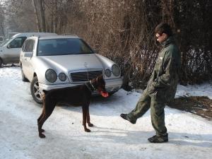 Прикачена снимка