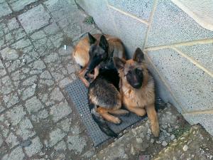 Прикачена снимка
