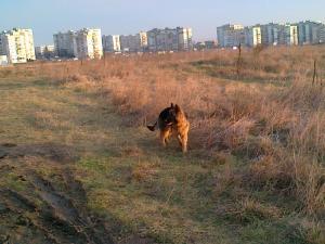 Прикачена снимка