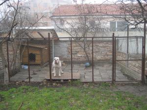Прикачена снимка
