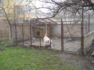 Прикачена снимка