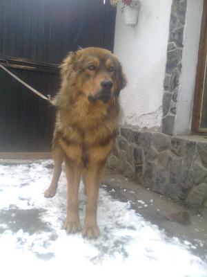 Прикачена снимка