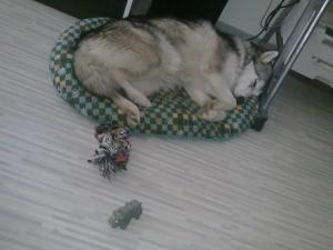 Прикачена снимка