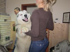 Прикачена снимка