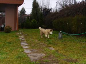 Прикачена снимка